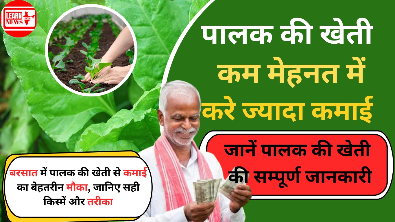 Palak Ki Kheti